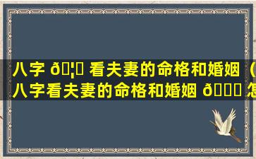 八字 🦍 看夫妻的命格和婚姻（八字看夫妻的命格和婚姻 🐎 怎么看）